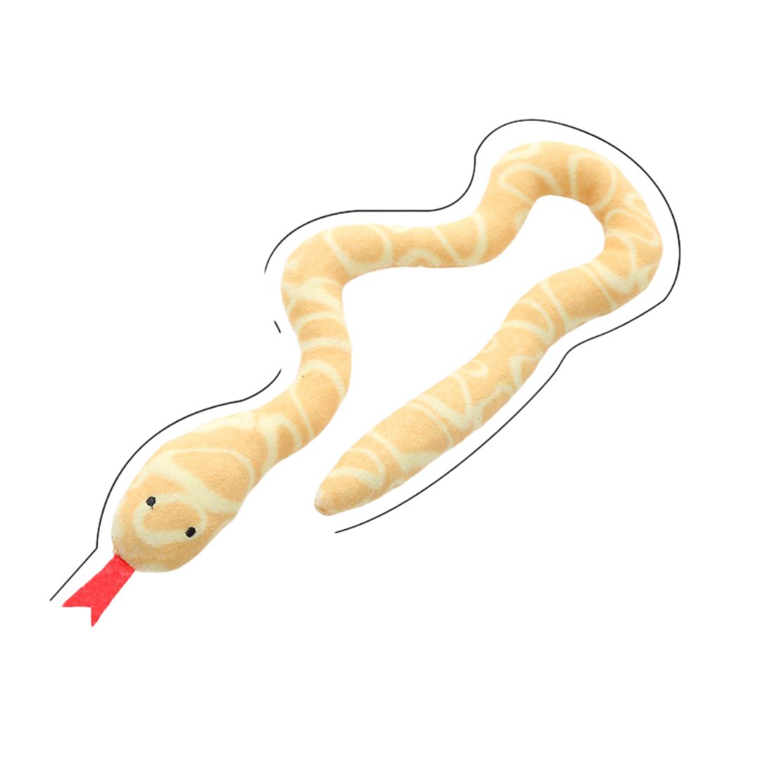 Catnip snake toy.
