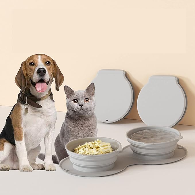 2in1 food bowl for on the go.