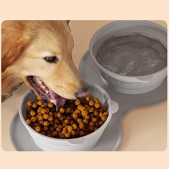 2in1 food bowl for on the go.