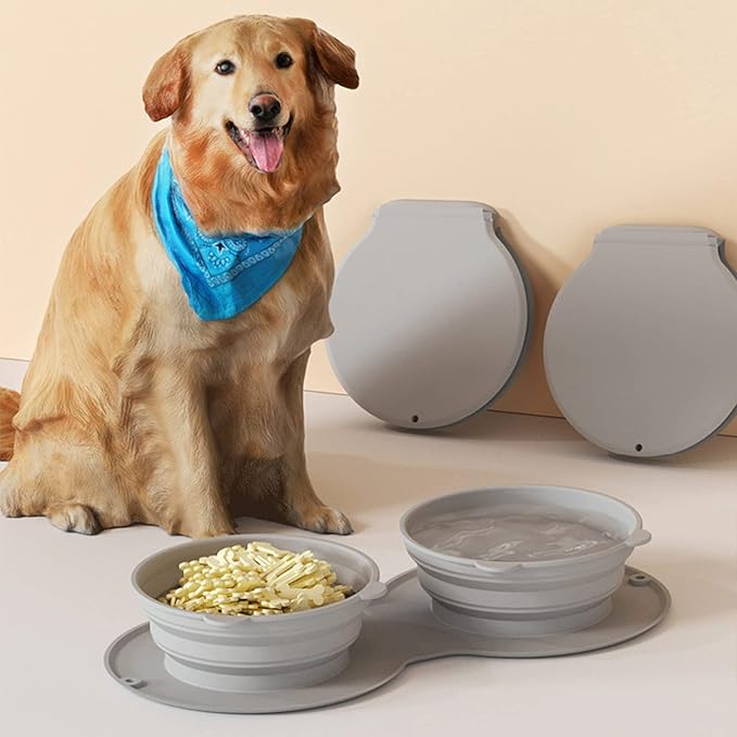 2in1 food bowl for on the go.