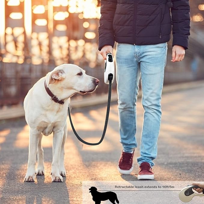 5in1 Reflective dog lead with integrated flashlight.