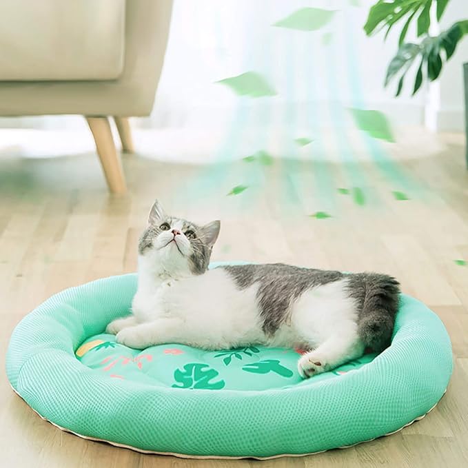 Breathable cartoon cooling mat for pets.