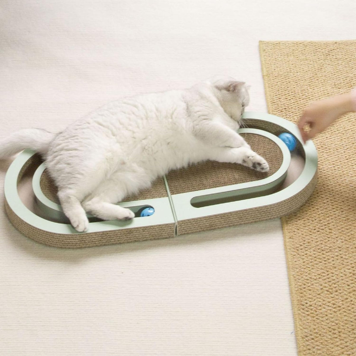 Cardboard cat scratching and play bed.