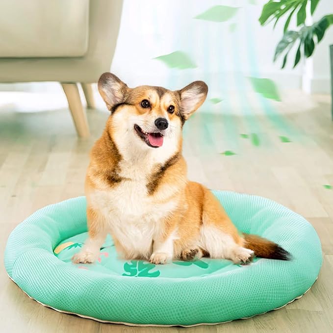 Breathable cartoon cooling mat for pets.