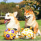 Dog ball toy with integrated pull leashes