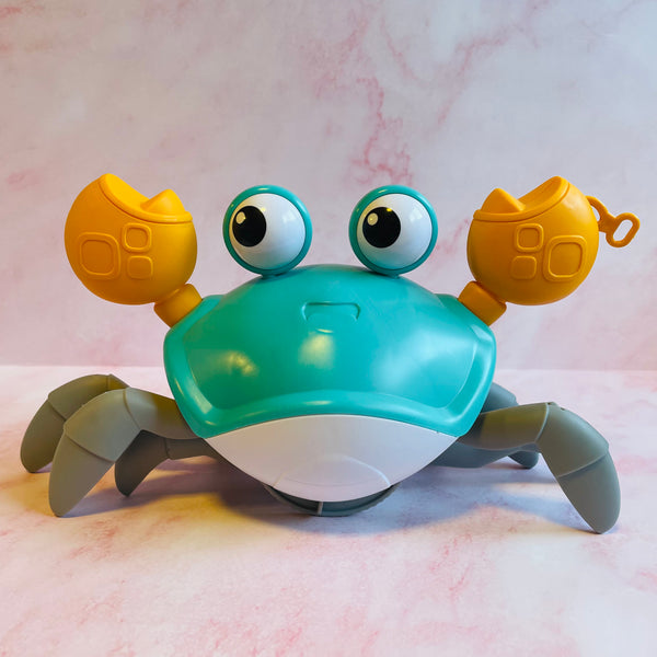Dancing crab - Interactive dog toy.