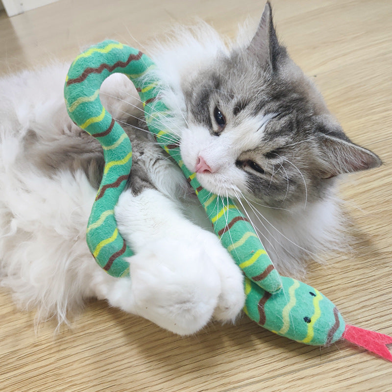 Catnip snake toy.