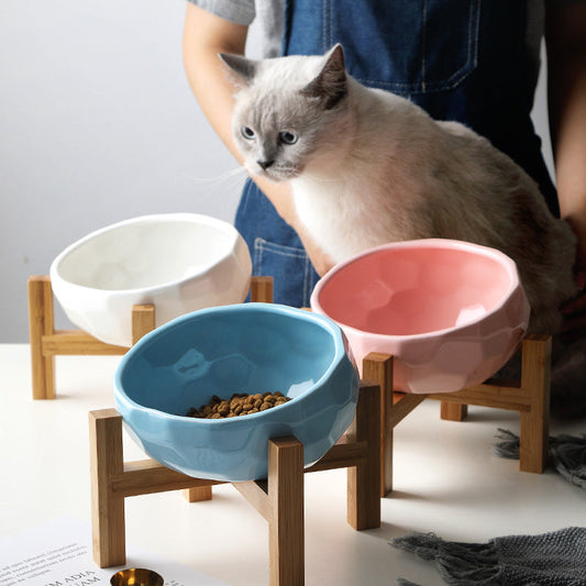 Ergonomic elevated pet food bowl.