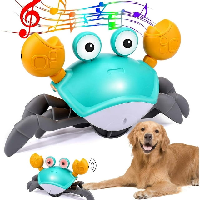 Dancing crab - Interactive dog toy.