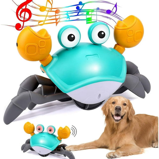 Dancing crab - Interactive dog toy.