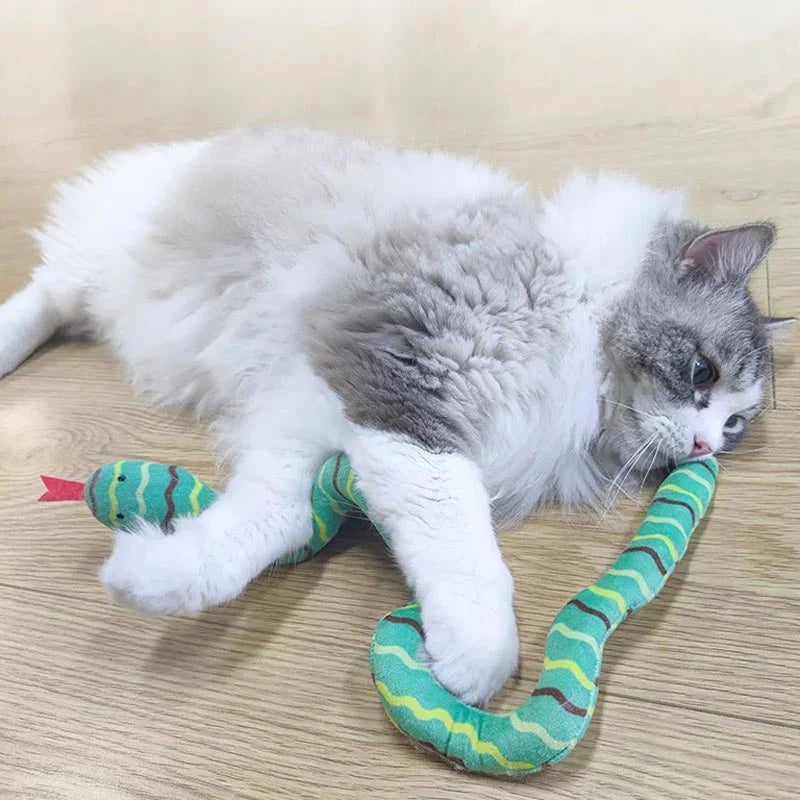 Catnip snake toy.