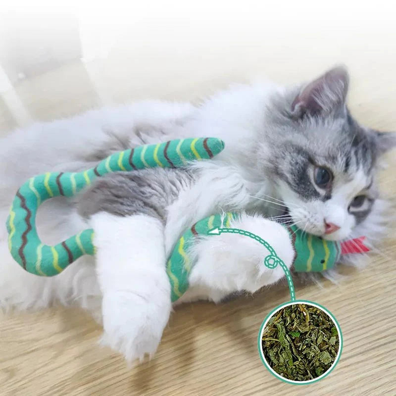 Catnip snake toy.
